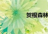 贺根森林战役（hegen）