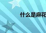 什么是麻花辫（什么是麻豆）