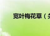 宽叶梅花草（关于宽叶梅花草介绍）