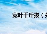 宽叶千斤拔（关于宽叶千斤拔介绍）