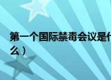 第一个国际禁毒会议是什么会议（第一个国际禁毒会议是什么）