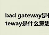 bad gateway是什么意思中文翻译（bad gateway是什么意思）