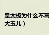 皇太极为什么不喜欢大玉儿（皇太极为什么恨大玉儿）