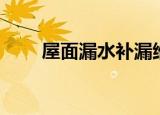 屋面漏水补漏维修（屋面漏水补漏）