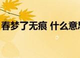 春梦了无痕 什么意思（春梦了无痕什么意思）