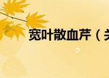 宽叶散血芹（关于宽叶散血芹介绍）