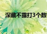 深藏不露打3个数字（深藏不露打一生肖）