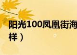 阳光100凤凰街海底捞（阳光100凤凰街怎么样）