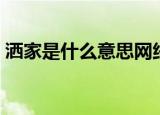 洒家是什么意思网络用语（洒家是什么意思）