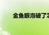 金鱼眼泡破了怎么办（金鱼眼面相）