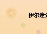 伊尔迷介绍（伊尔迷）