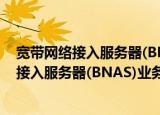宽带网络接入服务器(BNAS)业务备份协议（关于宽带网络接入服务器(BNAS)业务备份协议介绍）