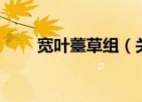 宽叶薹草组（关于宽叶薹草组介绍）