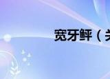 宽牙鲆（关于宽牙鲆介绍）