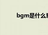 bgm是什么意思（bgm是什么）