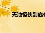 天池怪侠到底有多厉害（天池怪侠）