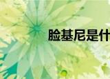 脸基尼是什么意思（脸基尼）