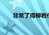 非常了得柳岩代班（非常了得柳岩）