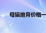 母猫绝育价格一览表（母猫绝育价格）