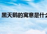 黑天鹅的寓意是什么（黑天鹅的寓意及象征）