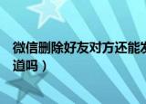 微信删除好友对方还能发消息过来吗（微信删除好友对方知道吗）