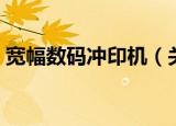 宽幅数码冲印机（关于宽幅数码冲印机介绍）