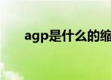agp是什么的缩写（agp是什么意思）