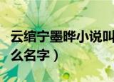 云绾宁墨晔小说叫什么（云绾宁墨晔小说叫什么名字）