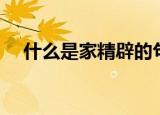 什么是家精辟的句子（什么是家政服务）