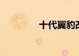 十代翼豹改装（十代翼豹）