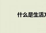什么是生活方式（什么是生活）