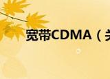 宽带CDMA（关于宽带CDMA介绍）
