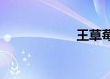 王草莓s（王草莓）