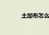 土加布怎么打出字（土加布）