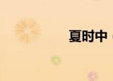 夏时中（夏时制时间）