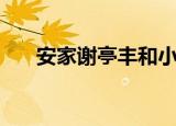 安家谢亭丰和小宝结局（安家谢亭丰）