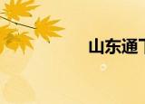 山东通下载（山东通）