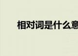 相对词是什么意思（xdc是什么意思）