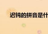 迟钝的拼音是什么样的（迟钝的拼音）