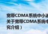 宽带CDMA系统中小波包多址及其多用户检测技术的研究（关于宽带CDMA系统中小波包多址及其多用户检测技术的研究介绍）
