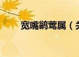 宽嘴鹟莺属（关于宽嘴鹟莺属介绍）