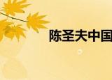 陈圣夫中国新声代（陈圣夫）