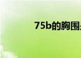 75b的胸围是多少cm（75b）