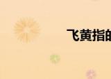 飞黄指的是什么动物？