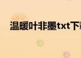 温暖叶非墨txt下载（温暖叶非墨车内做）