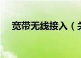 宽带无线接入（关于宽带无线接入介绍）
