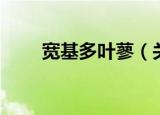 宽基多叶蓼（关于宽基多叶蓼介绍）