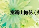 宽瓣山梅花（关于宽瓣山梅花介绍）