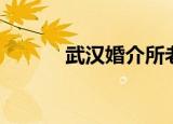 武汉婚介所老阿姨（武汉婚介）