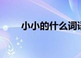 小小的什么词语填空（小小的什么）
